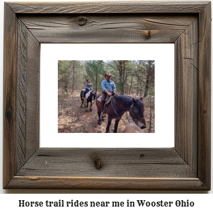 horse trail rides near me in Wooster, Ohio